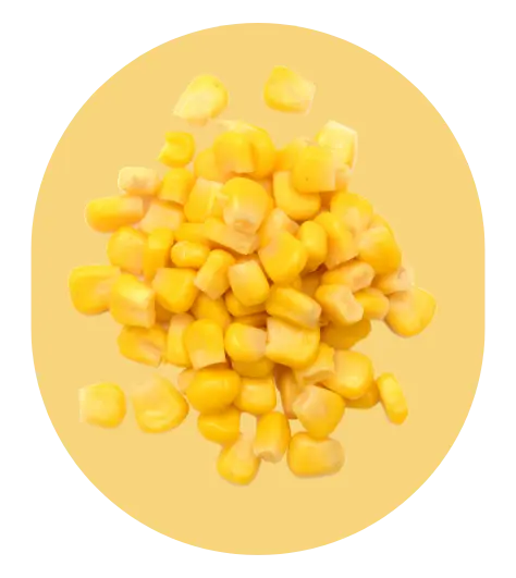 american corn
