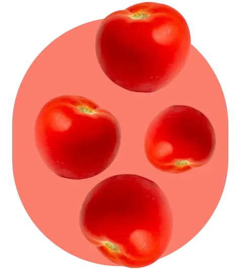 tomato purée